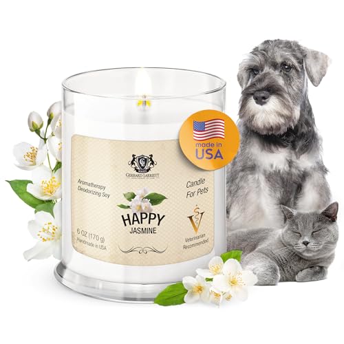 Gerrard Larriett: Velas perfumadas de jasmim feliz para decoração de casa e odores de animais de est