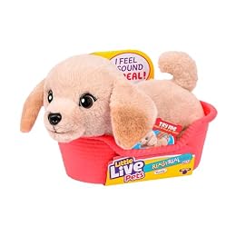 Little Live Pets My Really Real Puppy Mini Buddy the Retriever, Interactive Plush Toy with Basket, 20+ Sounds and Reactions, Puppy Toys for Kids
