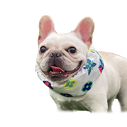 PP&DD N[oh p ĂɗN[o_i ybg Ђ ۗܕt Lp ₷ MǑ΍ ΍ ybgpi pXJ[t ۗܕt tAXi[܍@\⊴n  ʋC悢  M΍  (L