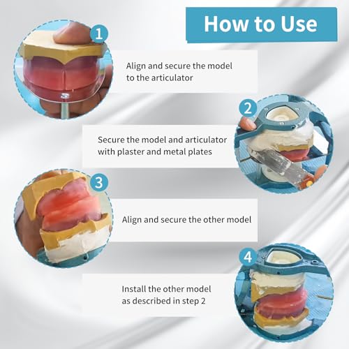 image for Annhua Dental Articulator Magnetic Dentist Articulator Denture with 6 