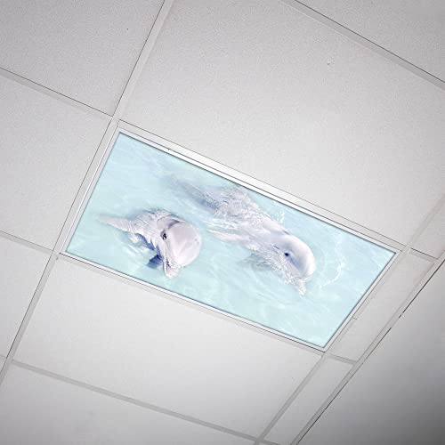 Image of Fluorescent Light Cover for Classroom Ceiling Lights - Premium Backlit Film Insert 2x4 (22.38 inchx46.5 inch) Florescent Fixture (Pack of 1) School, Office, Sensory, Improve Focus, Eliminate Headache, Dolphin
