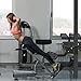 Lifeswell Nordic Hamstring Curl Attachment for 2