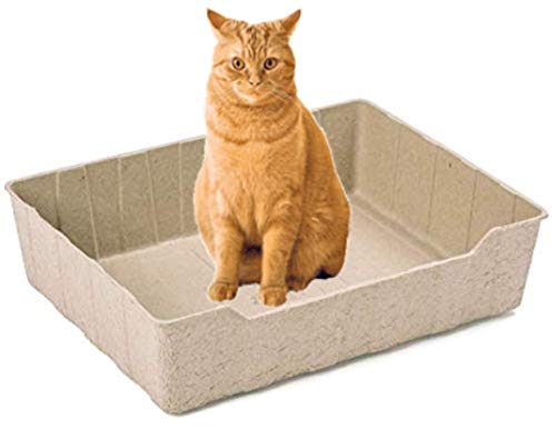 Eco Pet Box Disposable Litter Box 3 Ct #TOP6