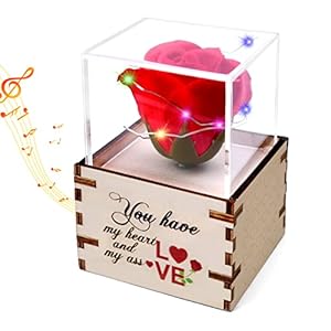 KUCHEY Music Box Valentines Day Gifts for Him Husband Boyfriend from Wife Girlfriend Enchanted Red Silk Rose Lamp with 3…