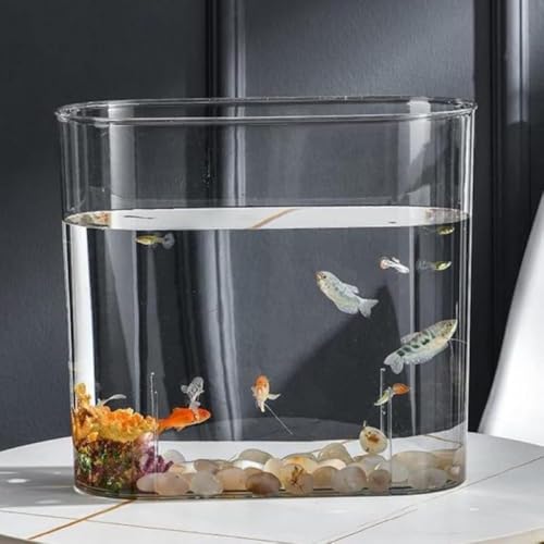 CokBlu透明アクリル金魚鉢 大容量プラスチック水槽 メダカ飼育用アクアリウム 観葉植物水培容器 テーブルインテリア花瓶 多用途テラリウム おしゃれボウル型水槽