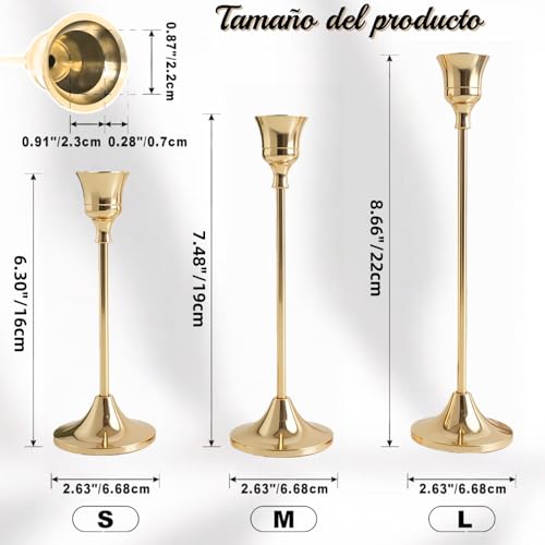 La mejor comparación de Velas y candelabros los más solicitados. 8 Imagen adicional