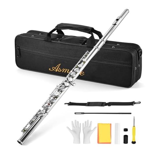 Asmuse Flauta Travesera Plateada 16 Agujeros Cerrados C clave Flauta Escolar con Estuche, Paño de Limpieza y Guantes para Principiantes y Profesionales