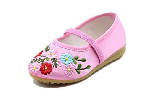 Tianrui Crown Children Girl's Flower Embroidery Soft Loafer Shoes Kid's Cute Flat Dance Shoe Pink