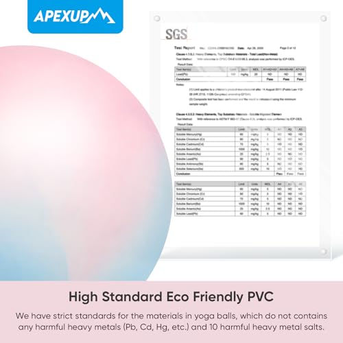 Image of APEXUP Yoga Ball, 660 lbs Anti-Burst Exercise Ball with Pump, 5 Sizes | Anti-Burst, Anti-Slip, SGS Certified, Strengthens Core, Improves Balance & Posture, Boosts Flexibility & Stability