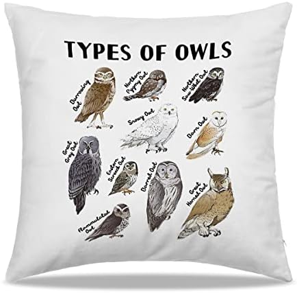 DIBOR Types Of Owls Watercolor Animal Bird Painting Throw Pillow Covers 18x18 in - Gift for Bird Lovers Women Girls Kids,Home Bedroom Living Room Girl Room Decorative Cushion Covers For Sofa Couch Bed