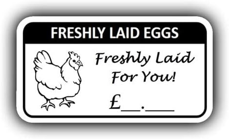 100 x Feshly Laid Egg Box Labels with Price Hen Stickers Eggs