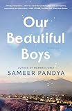 Our Beautiful Boys: A Novel