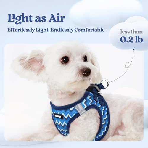 Image of rabbitgoo Dog Harness Small Sized and Leash Set, Step-in Puppy Pet Vest
