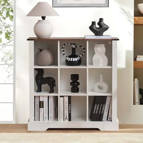 Seekverse 9 Cube Storage Organizer