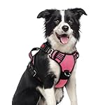 rabbitgoo Dog Harness Medium Sized, No Pull Dog Vest with 3 Buckles, Adjustable Soft Padded Pet Harness with Easy Control Handle and Reflective Strips, Pink, M