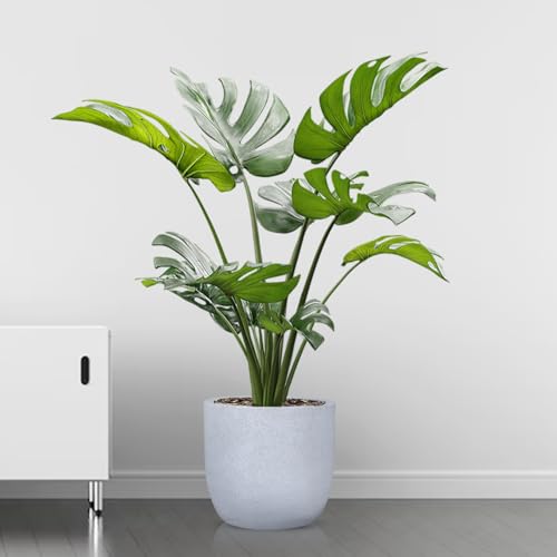 Image of BonKaso 8 Inch Jaguar Round Plant Pots | Highly Durable & Lightweight Polymer Planter for Indoor & Outdoor Use | Flower Pot (Gamla /Gamale) for Home, Office, Garden, Living Room & Balcony (White)