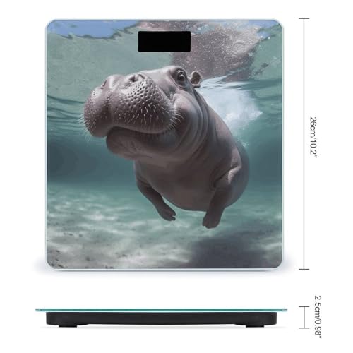 Báscula digital para baño FekiLoot con pantalla LCD miniatura 2