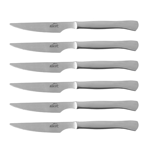 LACOR - 38242 - Set de cuchillos Monoblock,Filo liso,Acero inoxidable, 6 piezas, 22 cm, Mango ergonómico