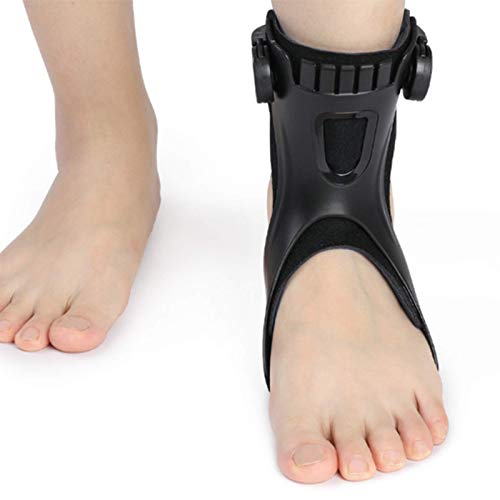 hbvtbgT|[gu[X tbghbv u[X 񑕋 PAF/ƒjp EVO L AVO Xl