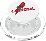 jz.birds
