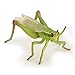 Papo- Sauterelle LA Vie Sauvage Figurine, 50268, Multicolore