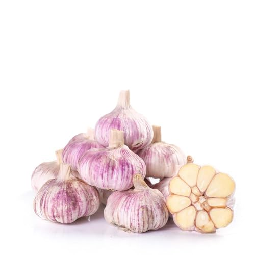 bulbos ajo balcón, 2pcs