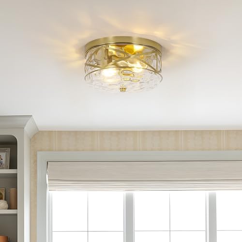 LamQee 2-Light Gold Metal Frame Glass Ceiling Light 9.8"