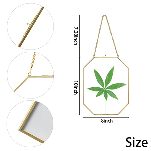 Wall Hanging Gold Brass Photo Frame, Double Clear Floating 8X10 Inches Octagon Geometric Herbarium Glass Frame For Dried Flowers, Pressed Flowers, Plants , Specimen Picture Frame Modern Home Decor #TOP5