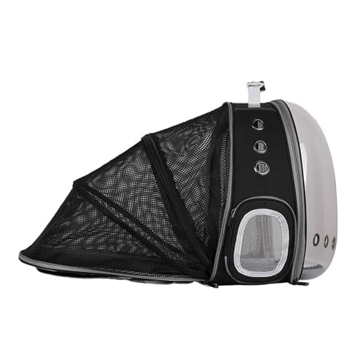 Large Kitten Backpack for Travel and Adventures