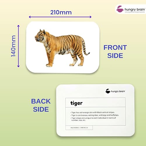 Image of Hungry Brain Wild Animals Baby Flash Cards 3 Months+ | Montessori Learning Cards for Toddlers | Early Brain Development Toy | Improve Vocabulary, Memory & Cognitive Skills | Educational Gift for Kids