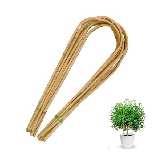 16 Inch Bamboo Plants Trellis Support - U Hoop Plant Stake Arch Garden Trellis for Potted Plants, Climbing Flowers & Vines, Outdoor Planting 20PACK