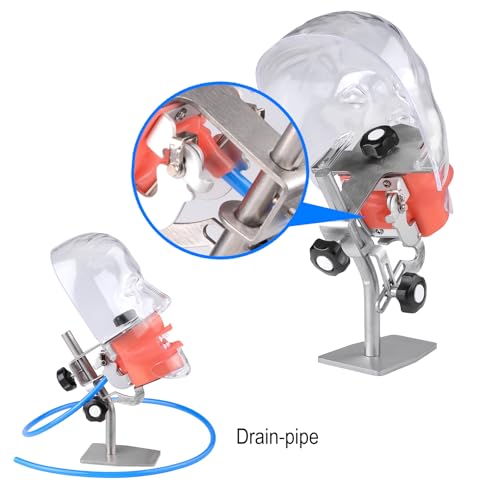BONEW Oral Dental Simulator Manikin Phantomkopf Modell Zahnarzt pädagogisches Zahnlehrmodell mit 28 Zähnen zum Fixieren (Tischständer-Typ)