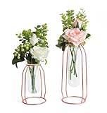FSyueyun Rose Gold Flower Vase for Home Decor with Metal Rack, Gold Glass Vases for Centerpieces Bud Vases Planters for Home or Party Wedding Table Decor (Small & Large)
