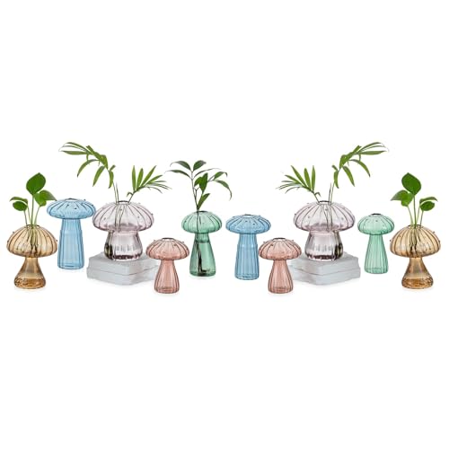 �A���pGlasseam�}�b�V�����[���ɐB�ԕr:�|�g�X�n�[�u�}���ؗp���F�萁���K���X�ɐB�X�e�[�V���� - �z�[���f�R���[�V�����p�̏����Ȑ��k�͔|�e�����E���W���[ - �����ւ̃M�t�g(10��)