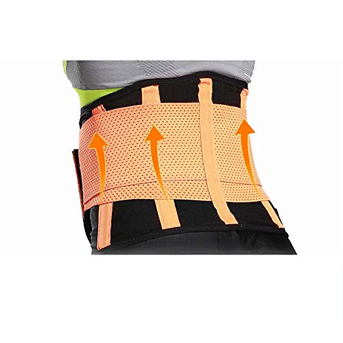 WEATLY Entrenador de la cintura de la correa del apoyo trasero Trimmer Deportes adelgaza...