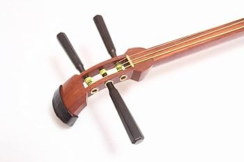 Amazon | 本皮胡弓セット・弓（馬毛）付・花梨材 | 弦楽器 | 楽器