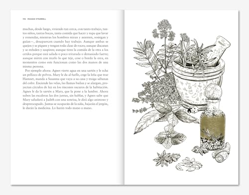 Miniatura 5 de Hamnet Edición Ilustrada : 354 Libros Del Asteroide