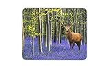 Farbecht und kratzfest. Lavendel Wald Rotwild-Hirsch Mauspad Pad - Englisch Majesty Computer-Geschenk # 16084