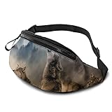 musketier kostüm damen xxl Funktion: Die Laufgürteltasche besteht aus weichem Stoff. Beim Laufen passt es sich Ihrem Körper an, ohne sich zu bewegen, zu zittern, zu hüpfen, Rad zu fahren oder zu kratzen. Die Gürteltasche hat eine verstellbare Schnalle, die frei befestigt und an der Taille oder Brust gebunden werden kann, um Ihre Hände freizugeben. Es ist eine hervorragende Ergänzung zu täglichen Besorgungen und Outdoor-Aktivitäten.