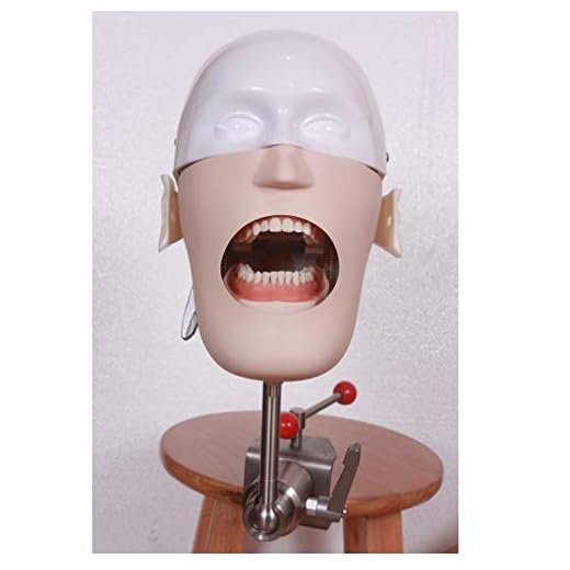 LMEIL Dentalsimulator Phantomkopf-Training, Modellpuppen-Phantom in Lebensgröße mit Zähnen Modell-Training für Zahnärzte und Zahnarzthelfer sowie Hygieniker