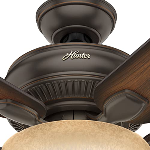 Hunter Matheston Indoor / Outdoor Ceiling Fan With Light And Pull Chain Control #TOP4