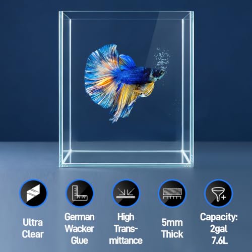 Image of LAQUAL 2 Gallon Fish Tank Starter Kit with Fish Net, 1 Water Changer Siphons & 2 Cleaning Cloth, Crystal Clear Glass Fish Tank, Small Fish Tank /Aquarium for Betta & Goldfish, Nice Home Decor