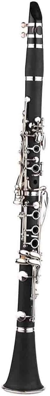 17 Key BB Double Barrel Clarinet With 10 Reed Screwdrivers And Reed Case Clarinet Instrument