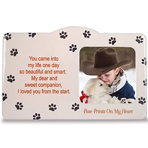 BANBERRY DESIGNS Pet Memorial Picture Frame - Paw Prints On My Heart Photo Frame - Remember a Faithful Furry Friend - Loss of a Beloved Pet - 9