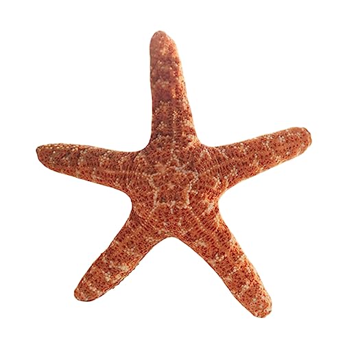LICHENHAO Starfish Pillow Sofa Cushion Floor Pillow Car Cushion Pillows (Starfish, 40cm)