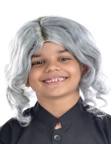 Image of BookMyCostume Abdul Kalam & Old Man Grey Hair Wig Adult & Kids Fancy Dress Costume Accessory