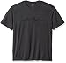 Icebreaker Merino Men's Tech Lite Short Sleeve Crewe Tee Approach graphic