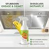 300 ml Cleanse Natural Enzyme Formula to Household Appliances, 2026 New Clease Multi-Purpose Cleaner, Kitchen Appliance Cleaner for Hold, Oven, Stove, Range Hood 1PCS