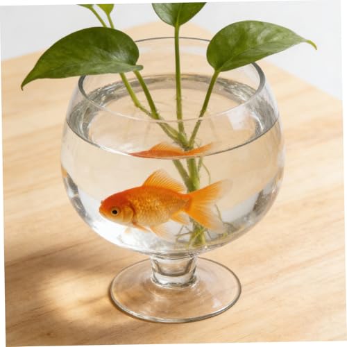 Aquarium multifonction anti-encombrement pour petits espaces - 8