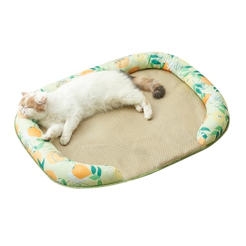 ybgxbh  L ėp ̂ NbV ڐG⊴ ybg}bg ~ Ђ QSn 􂦂 y ybgpxbh ʋC K ΍ O[ M